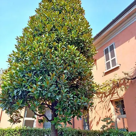 Magnolia Apartamento *